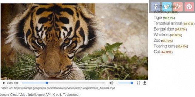 Google Kembangkan AI untuk Identifikasi Objek di Video