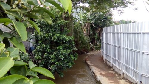 Badan kali menyempit- menikung dan tanggul baru di bawah tanah yang diuruk (di sebalik pagar).