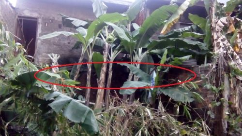 Growong di bawah rumah nomer 26 dan 27 serta tanah lempung tersisa yang rawan longsor lagi.